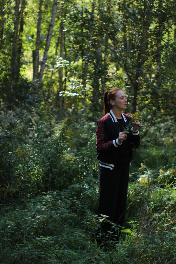 Kräuterwanderung Strausberg Kräuterführung MOL Healthy Larissa Herbst Herbstschätze Wildkräuter Kräuter sammeln