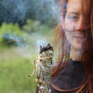 Teamevent Kräuterwanderung Workshop Kräuterworkshop Kräuterwanderung Strausberg Wildkräuter gesund Kräuterführung MOL Healthy Larissa Herbst Herbstschätze Wildkräuter Kräuter sammeln Strausberg MOL Kräutertee Teamtag Hausapotheke gesund kräuter healthy Räuchern