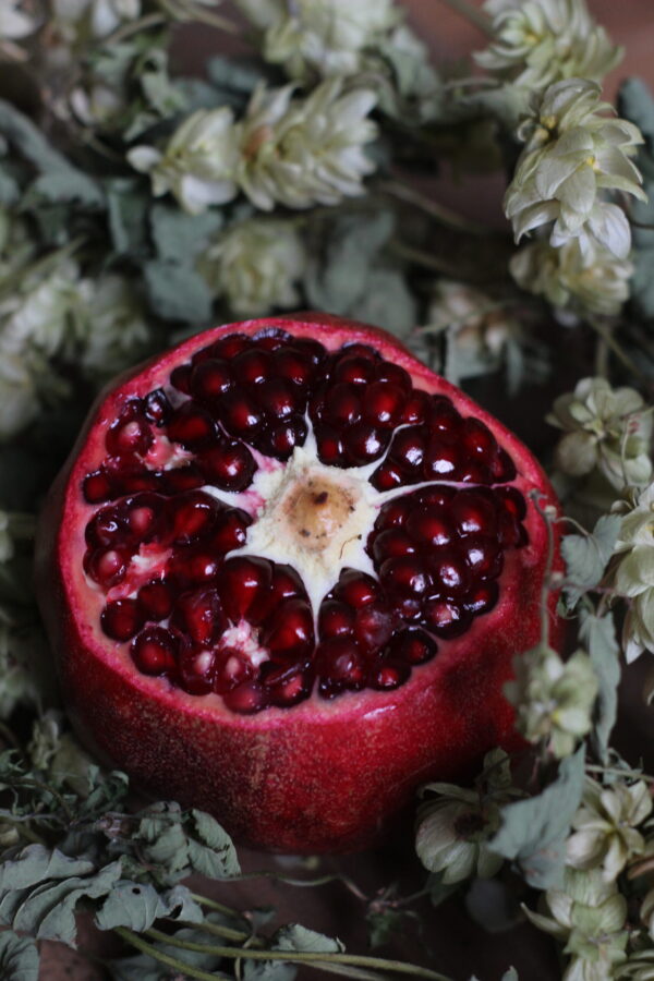 Fermentieren Teamevent Kräuterwanderung Workshop Kräuterworkshop Strausberg MOL Oxymel Sauerhonig Teamtag Hausapotheke gesund kräuter healthy Kräuterwanderung Kräuterworkshops Wildkräuter Kurs Gesundheit Wissen