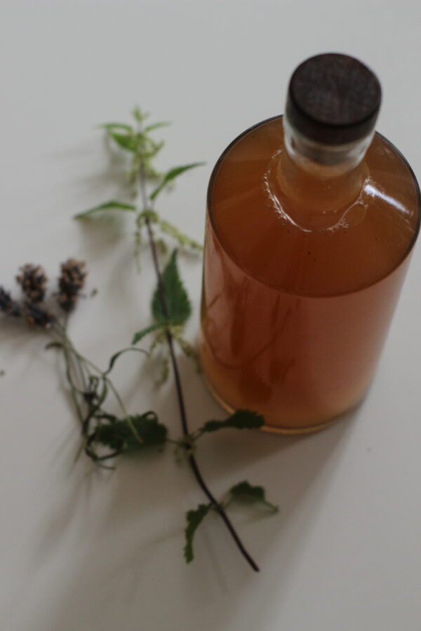 Flasche mit Kräuteressig und Brennnessel und Lavendel als Deko
