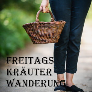 Kräuterwanderung Wildkräuterwanderung Teamevent Teamtag Gesundheitsprävention Unternehmen Mitarbeiter Kräuterwanderung Wildkräuter Wildkräuterwanderung Naturerlebnis Naturentdecken Firmenevent Strausberg Märkischoderland MOL Ostbrandenburg 15344 healthyorbis Larissaschulz healthyorbis